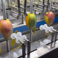 Automatische Schillijn Industriële mango Papaya Schilmachine Pomelo Sinaasappel Taro Lotuswortel