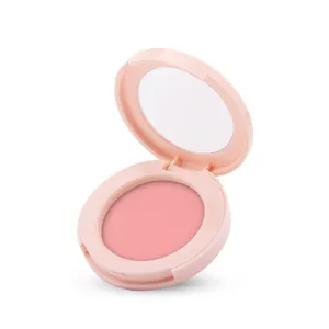 Chuyên nghiệp mỹ phẩm trang điểm rỗng đơn Blush Eyeshadow container, Eyeshadow Palette bao bì, Eyeshadow nhỏ gọn container