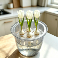 Pot de fleurs hydroponique transparent moderne avec plateau de support pour bulbes, idéal pour tulipes et jacinthes