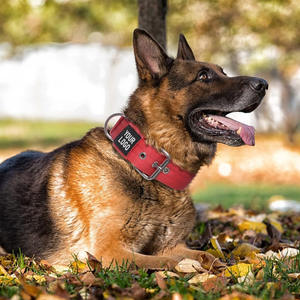 Collier de chien tactique robuste avec logo personnalisé, colliers réglables pour animaux de compagnie, collier d'entraînement en nylon épais et souple avec colliers à boucle en métal - Product Image 6