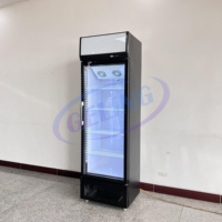 Vitrine Réfrigérée de Bar, Réfrigérateur Vertical à Porte Vitrée Commerciale, Vitrine Unique pour Boissons