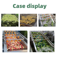 Qiangda Elektrische Commerciële Plc Gestuurde Fruitgroenten Blancheermachine Omvat Pomp Aardappel Tomatenschiller Wasmachine Voor