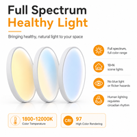 Plafonnier LED Skyline Dimmable 60W avec Garantie 5 Ans, CRI>95, 1800-12000K, Effet Dynamique, Aluminium Moderne, CE RoHS pour Maison et Bureau