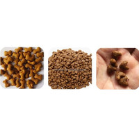 Extrudeuse de graines de soja, également pour le traitement des aliments de poulet