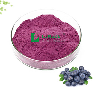 Pó de Suco de Açaí Congelado/Pulpa de Açaí/Pó de Extrato Seco de Açaí - Product Image 2