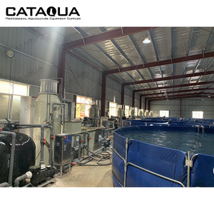 CATAQUA CE الصين التجارية الصناعية فقاعة ماجوس البروتين مقشدة ل RAS البحرية حوض السمك - Product Image 4