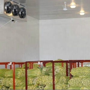 Contenedor de Almacenamiento en Frío de 20 pies/40 pies con Unidad de Refrigeración de 220v para Uso Doméstico, Cámara Frigorífica para Carne y Pescado - Product Image 5