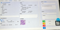 Microscope 20x Ultra-high Resolution Dual-slide Digital Slide Scanner, Laboratory Research and Teaching