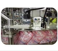 Machine de remplissage de sacs à buse linéaire de haute précision pour 150g-3000g