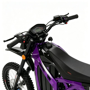 SS8.0adventure <span class=keywords><strong>Moto</strong></span> tout-terrain électrique à haute capacité de charge, Article d'investissement pour les loisirs, Outil de construction communautaire, Vente en gros - Product Image 4