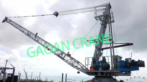 Grúa de Techo WD250 - Product Image 3