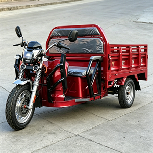 Tricycle cargo avec double certification EEC COC, boîte de chargement de 1,6 m, capacité de charge de 500 kg <span class=keywords><strong>pour</strong></span> le marché européen, 40 km/h - Product Image 1