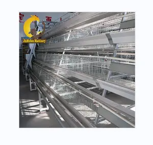 Jinmuren Poultry Farm Chicken hen Battery Cages Layer Chicken Cage Project