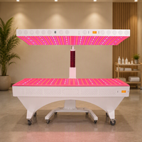 Panneau de luminothérapie rouge de qualité médicale, dispositif de luminothérapie rouge profonde pour cliniques
