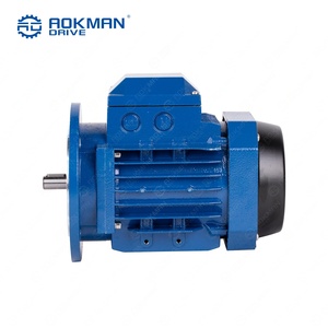 Moteur asynchrone triphasé AOKMAN, norme CEI, usage intensif, 20 kW, 50 Hz, efficacité IE3, IP54, 220 V/380 V, à entraînement par pied - Product Image 2