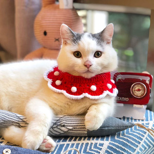 Jolie princesse tricoté dentelle chien chat collier promotionnel produits pour animaux de compagnie ornement accessoires - Product Image 1