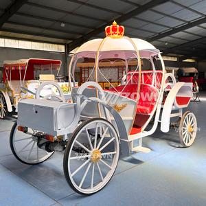 รถม้าแต่งงานสุดหรูแบบซินเดอเรลล่า พร้อมม่านกันฝนและไฟ LED - Product Image 4