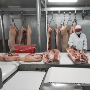 Vendita Diretta dalla Fabbrica Linea Completa Chiavi in Mano per Macellazione Suini Attrezzature per Macellazione Suini Equipaggiamento per Mattatoio Suini - Product Image 3