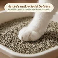 Litière pour chat en tofu d'armoise antibactérienne, biodégradable, faible poussière, neutralisation des odeurs, à base de plantes, soin santé, vente en gros, OEM
