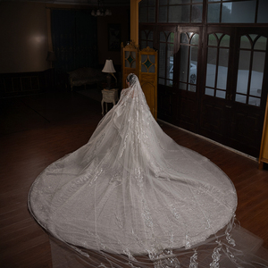 GT150 Modern Sweetheart Floral Print Appliques Crystal <b>Sequined</b> Wedding Dress <b>Backless</b> Customized Ball Gown Floor-Length Chapel - Product Image 5