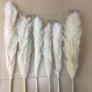 IFG 1.5m Length Wedding Artificial Pampas Natural <strong>Dried</strong> Decorative Pampas <strong>Grass</strong> - Product Image 5