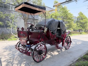 HengYiSheng Chariot Électrique Touristique Européen pour Mariages, Type Calèche, Autres Normes d'Émissions, Autres Puissances - Product Image 6