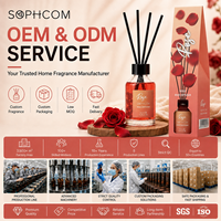 Ensemble de diffuseurs à bâtonnets multi-parfums 100 ml, options florales, fruitées, boisées et gourmandes pour les importateurs et les chaînes de magasins
