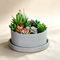 Pot de fleurs circulaire en ciment à profil bas avec plateau, jardinière en béton pour succulentes, conteneur de jardinage de table