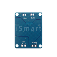 Carte d'amplificateur de puissance audio numérique mono 32 broches, 12V-24V CC, TPA3118, 60W, module d'amplificateur, puce 32P, puce d'origine