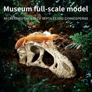 Cleen Fabrik Großhandel Harz-Dinosaurier-Schädel Dekoration Reptilien-<span class=keywords><strong>Terrarium</strong></span> Ornament Höhle Versteck für Schlangen Eidechsen Aquarium-Deko - Product Image 2