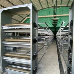 Pouliche galvanisée à chaud avec batterie automatique à 4 niveaux en forme de H, cage d'élevage de poulets de chair au meilleur prix, durée de vie de 20 ans - Product Image 1