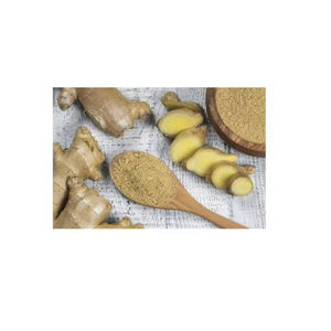 Jengibre Joven Orgánico de Gran Valor, a Granel, para Uso Culinario y Venta al por Mayor - Product Image 2