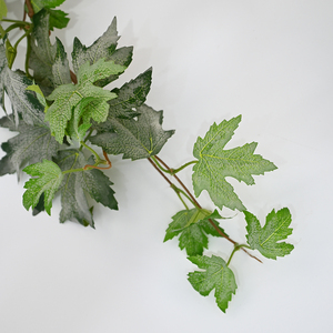 Feuille de vigne artificielle en soie verte de 1,7 m, feuille d'érable canadienne, décoration murale suspendue, vigne artificielle, feuilles de <span class=keywords><strong>lierre</strong></span>, utilisation en <span class=keywords><strong>chambre</strong></span> à coucher, en extérieur - Product Image 4