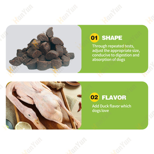 Bán buôn tự nhiên con chó bàng quang cắn đường tiết niệu nhiễm trùng mềm nhai bổ sung cho bình thường chức năng tiết niệu với Cranberry - Product Image 3