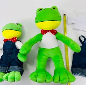 Nouvel Arrivage : Adorables Peluches de Grenouilles en Couple, Modèles Mr Long-legged et Gu Gua Lonely Frog, Célèbres sur Internet - Product Image 1