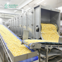 Industriële productielijn voor diepvriesfrieten, 1000 kg/uur, turnkey oplossing voor voedselverwerkingsfabrieken