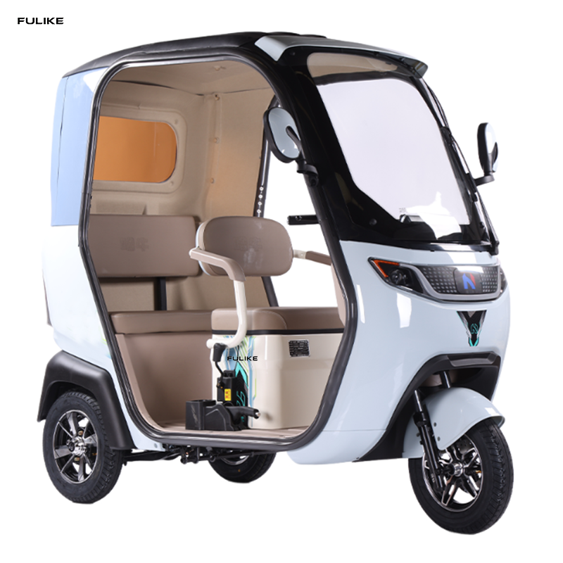 Factory Sale Adult Wheel Passenger 3