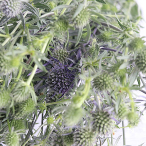Fleurs fraîches naturelles coupées pour la Saint-Valentin, décorations de fruits, fleurs pour mariages, décorations pour invités, bouquets de remise de diplôme - Product Image 2