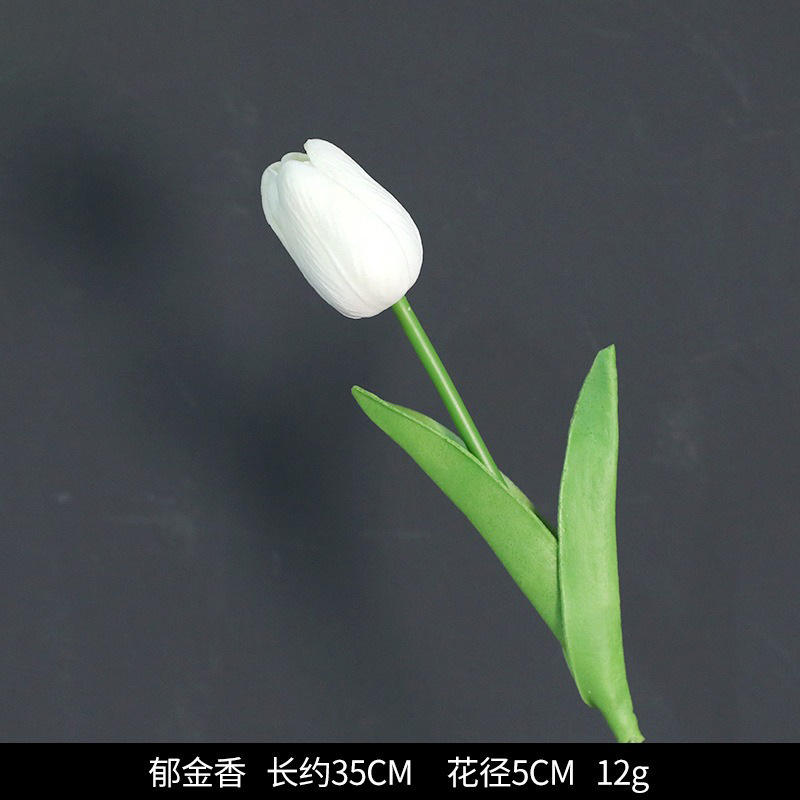 Blanc simple de tulipe de tige de 2 générations