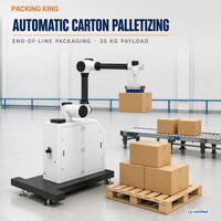 Mesin Palletizer Robot Otomatis BM1030D-1800, Beban Angkut 30kg, Jangkauan Lengan 1900mm untuk Penumpukan Kotak Karton, Pengemasan Akhir Jalur Produksi