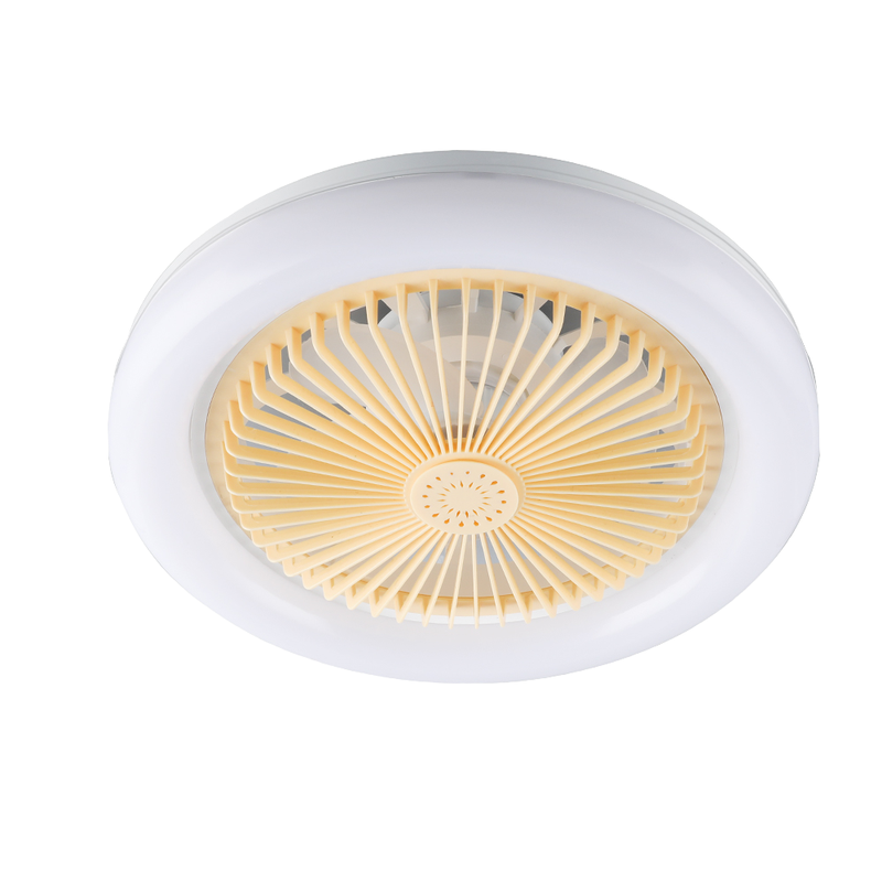 Stylish Ceiling Lamp and Remote Control