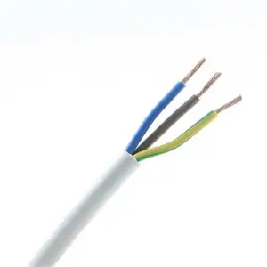 High Quality Made In China 99.99% Copper Conductor 4Sq mm Electrico Cable