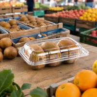 Conteneur jetable transparent en PET pour fruits (kiwi, figue, pomme) – Paquets de 2, 3, 4, 6 – Idéal pour supermarchés, épiceries, délires, vente à emporter et en gros