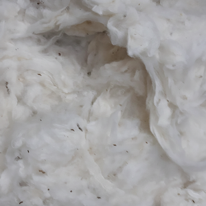 100% coton Comber Noil, coton blanchi Comber Noil (Mme Xavia + 84 333371330) - Product Image 1