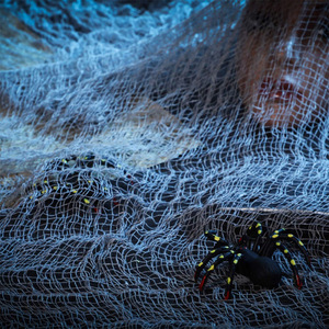 Telo Decorativo Ecologico per Halloween e Festival dei Fantasmi, Stoffa Strappata Nera per Atmosfera di Casa Infestata, Terrore della Camera Segreta - Product Image 4