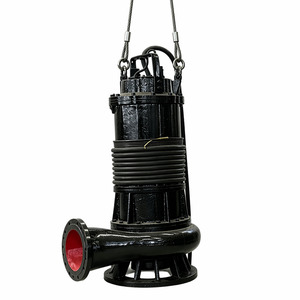 Potente Bomba Sumergible de Hierro Fundido para Aguas Residuales, Bomba Eléctrica para Aguas Sucias, Sistema de Drenaje para Control de Inundaciones en Sótanos - Product Image 1