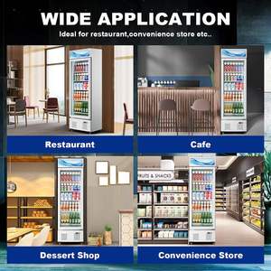 Refrigerador Vertical de Exhibición con Adhesivo Personalizado en el Interior, Refrigerador Comercial con Enfriamiento por Aire LED, Congelador para Tienda - Product Image 6