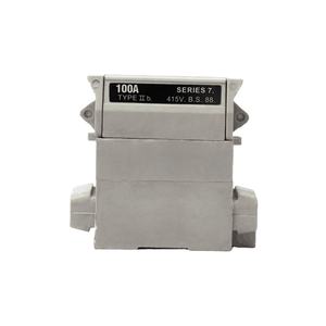 Détecteur de fusibles à faible tension 60A /80A /100A 1P SPN <span class=keywords><strong>TPN</strong></span>, <span class=keywords><strong>service</strong></span> de maison - Product Image 1