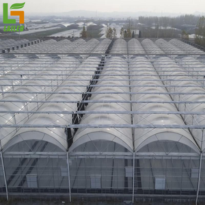 Special <strong>Greenhouse</strong> for Mushroom Cultivation Agricultural <strong>Greenhouse</strong> with <strong>Shelve</strong> and Films Free <strong>Greenhouse</strong> Design - Product Image 4