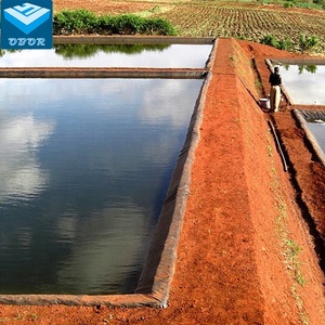 Revestimiento de plástico HDPE para estanque de peces, membrana impermeable, Geomembrana, precio de 2mm - Product Image 5
